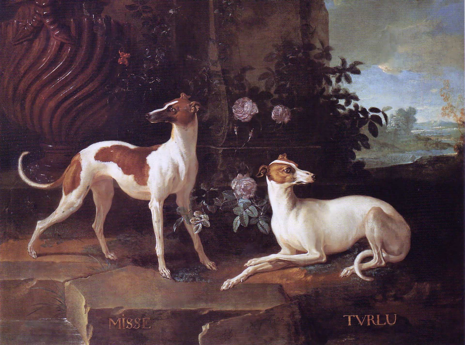 Misse and Turlu, Two Greyhounds Belonging to Louis XV by Jean-Batiste Oudry