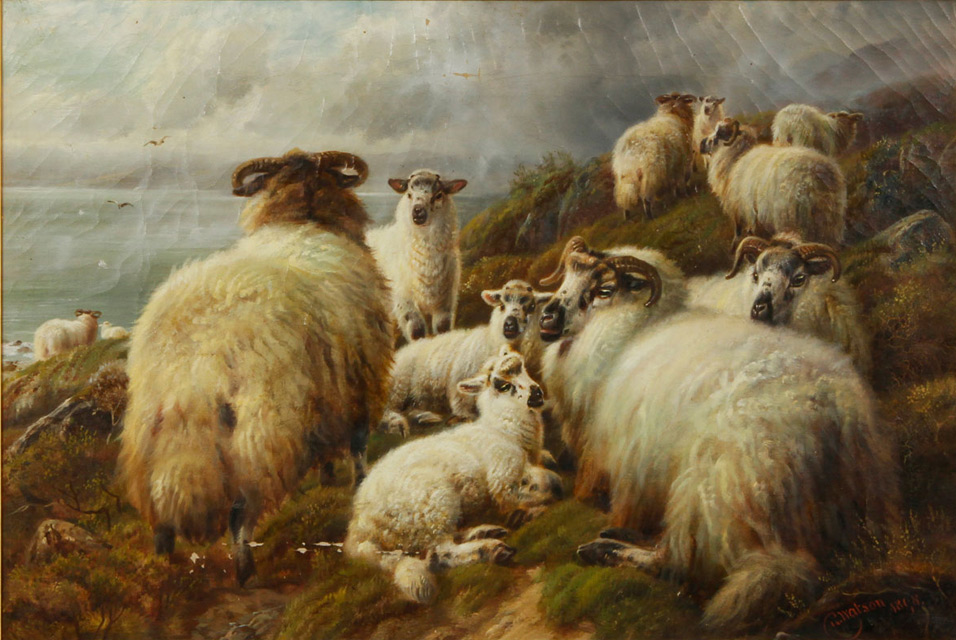 Highland Sheep by Charles A. Watson